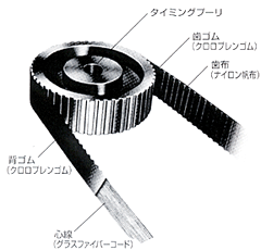 タイミングベルト構造